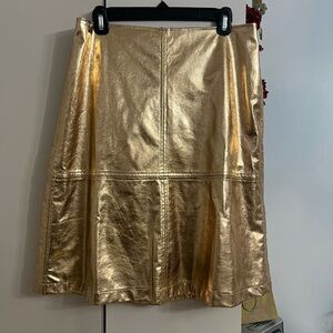 Tuckernuck Shimmering Gold A-Line Skirt